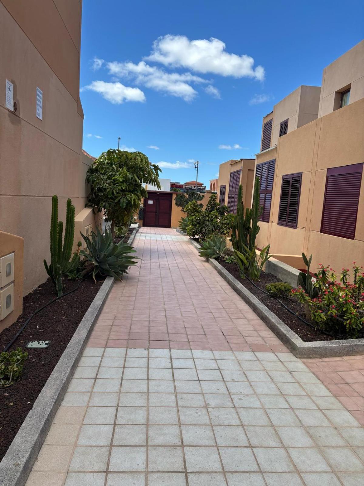 Elisabeth Apartmant Caleta De Fuste Exteriör bild